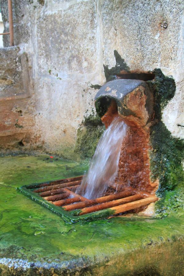 Maison De Plein Pied Au Coeur De La Nature Chaudes-Aigues Exterior foto